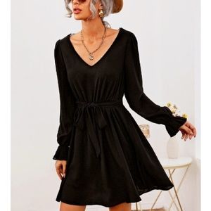 NEW Lace Insert Flounce Sleeve Belted Mini Dress